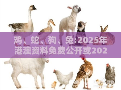 鸡、蛇、狗、兔:2025年港澳资料免费公开或2025芳草地资料大全免费正版释义-改进解答、专家解读解释与落实​,抵制虚假渲染术