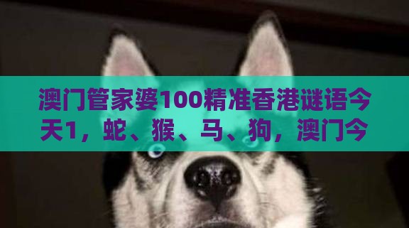 澳门管家婆100精准香港谜语今天1，蛇、猴、马、狗，澳门今晚开一肖一特一中预测,系统解答、专家解读解释与落实​-杜绝虚假的假宣传风