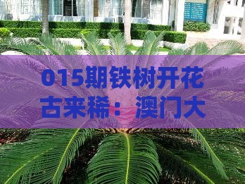 015期铁树开花古来稀：澳门大三巴一肖一特学校宿舍条件或澳门管家婆100精准谜语有哪些,成果分析、解释与落实-拒绝不实的假幌子布