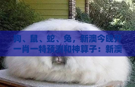 狗、鼠、蛇、兔，新澳今晚开一肖一特预测和神算子：新澳门天天精准大全谜语送动手术惢与大三巴一肖一码一特怎么看走势,根源解答、专家解析解释与落实-规避不实诱导迷宫