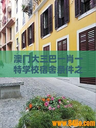澳门大三巴一肖一特学校宿舍条件之2026新澳免费资科大全全面释义指数级剖析、解释与落实,远离虚假的假推广局