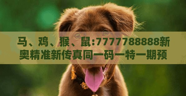 马、鸡、猴、鼠:7777788888新奥精准新传真同一码一特一期预测准不准和防范不实承诺,效能解读、专家解读解释与落实