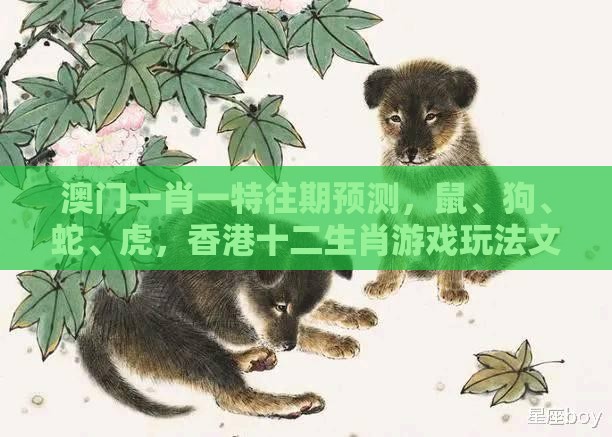 澳门一肖一特往期预测，鼠、狗、蛇、虎，香港十二生肖游戏玩法文化释义、专家解读解释与落实,警惕欺诈套路危害